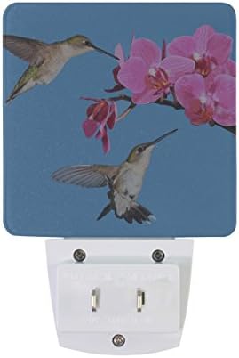 Naanle Set od 2 kolibrija koji hrane ružičasto cvijeće orhideje na Svijetloplavom nebu Auto senzor LED sumrak do zore noćno svjetlo utikač u zatvorenom za odrasle