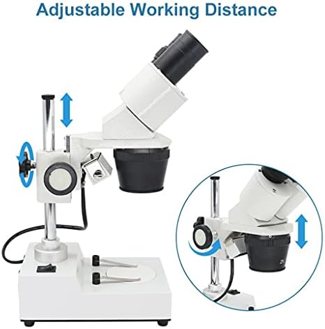 JRDHGRK binokularni Stereo mikroskop industrijski Stereo mikroskop Gornja LED rasvjeta mobilni telefon PCB alat za popravku lemljenja