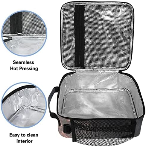 ZZXXB vatrogasna izolovana torba za ručak kutija termo hladnjača za višekratnu upotrebu Tote Vanjska putna torba za piknik sa naramenicom za studente odrasle