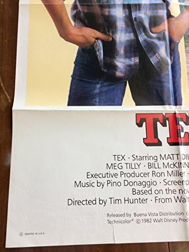 Tex original 1981 filmski poster, Matt Dillon, seksi