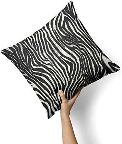 Iirov Real Vector Zebra Print - Custom Dekorativni doc dekora u zatvorenom ili vanjskom bacanju jastuk za jastuk plus jastuk za kauč,