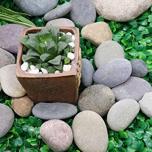 Višebojne stijene 1 - 2 inča, 10 lb. od prirodnih nepoliranih kamenih šljunka za biljke, vrtove, stijenska slika, uređenje okoliša, sukulencije, riblje spremnik šljunak, terarium, dekorativni vazni punilo
