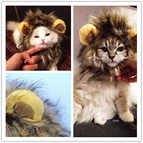 Ecyc New Pet Cat Wig Funny Slatka pretvorena za glavu za glavu za mačke Početna Halloween Božićni kostim Dobavljači na otvorenom