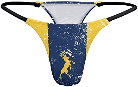 Baikutouan Michigan State Flag Ispiši T-Back Theng za žene G-string donje rublje