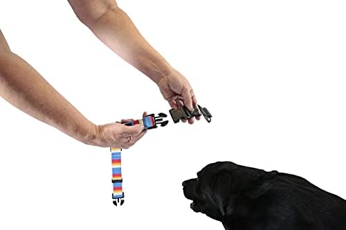 Candu zamjenjivi ovratnik za pse - Brze punjenja za puštanje, dizajni prekidača, otključavajuće boje, podesivi, mali, srednji ili