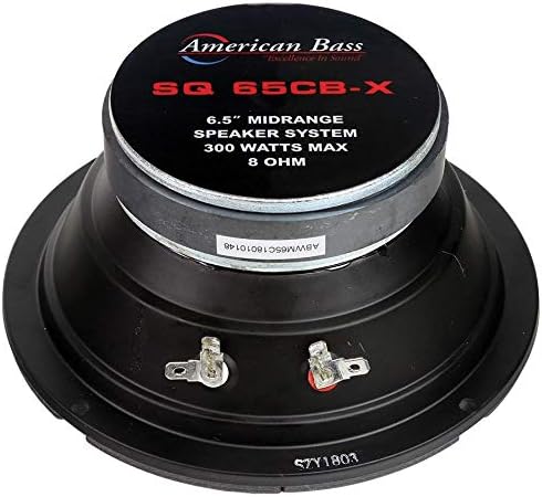 6.5 Midrange Midbass zvučnik 300W 8 ohm američki bas sq-65cb-x