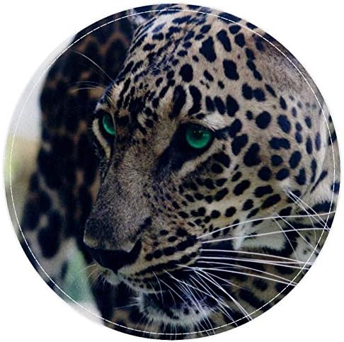 Heoeh Cool Leopard Zelena oči, non klizni vratat 15.7 okrugli prelomni tepih tepih za djecu za djecu za djecu, igralište