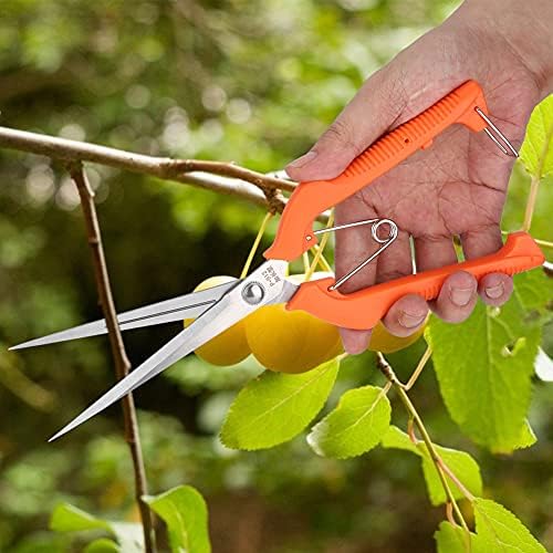 Makaze za biljke sa pilom od 250 mm branje voća branje baštenskih Bonsai alata makaze za cveće za travu baštenske makaze za branje voća za sečenje grančica za orezivanje bašte