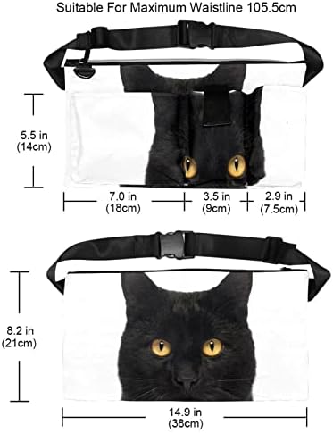 Izbliza crne mačke koja gleda fotoaparat izoliran na bijelom organizatoru za džepni prilog za pojas alata | Izdržljiv i kompaktni držač alata