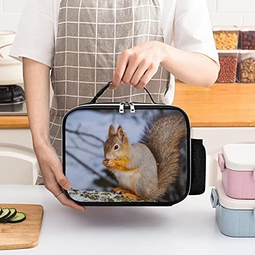 Proždrljiva vjeverica izolovana torba za ručak izdržljiva kutija za ručak sa odvojivom kopčom ručkom za kancelarijski posao izlet