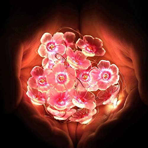 2 komada 6.6 stopala 20 LED svjetla za biljke Fairy žičana svjetla žičana svjetla na baterije dekoracija za Valentinovo vjenčani vrtići djevojke dekor spavaće sobe