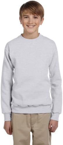 Hanes od omladinske udobnosti Ecosmart Crewneck Duketshirts_ash_l