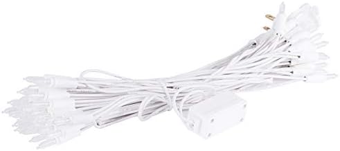 Vickerman 50 Light LED topla bijela Mini svjetla sa Dura osvjetljenjem, Bijela žica