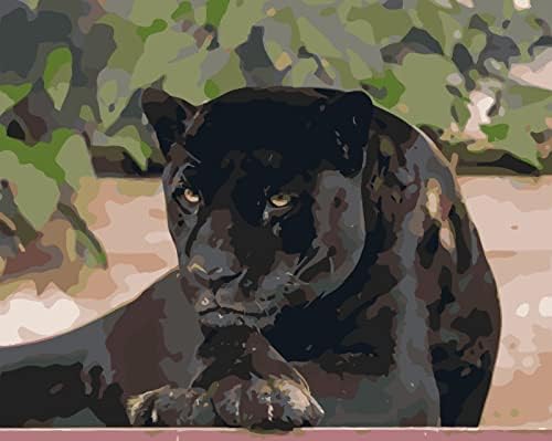 LXDZXY boja po broju za odrasle Prairie Black Panther DIY ulje brojevi slika na platnu akrilne crtanje umjetničkih zanata bez okvira