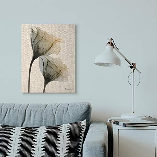 Stupell Industries fotografija cvijeta neutralne svjetlosti, dizajn zidne umjetnosti Alberta Koetsiera, 24 x 30, platno