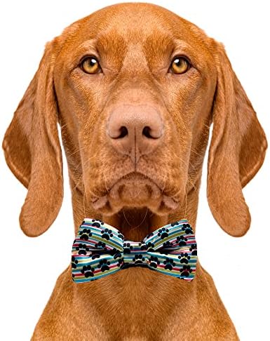 CUTIE kravate za pseće leptir mašne rođendan-2 & 34; x 4 leptir mašne za pse vrhunskog kvaliteta-fensi pseća kravata sa navlakom