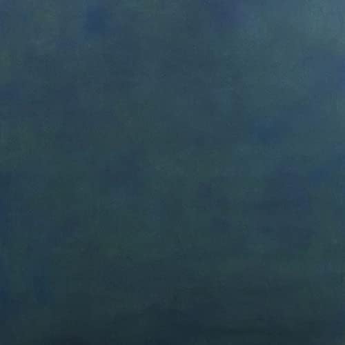 Savage Painted platnena pozadina-alpska boja, Veličina 5 stopa široka x 7 stopa duga, pozadina za portrete