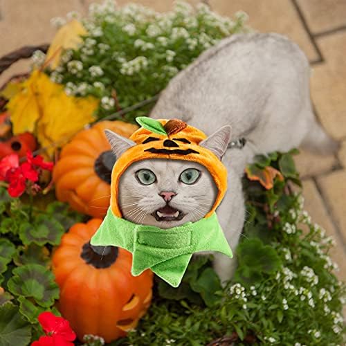 Xuniea 2 komada Halloween bundeva mačka šešir podesivi bundeva mačka Kostimi slatka bundeva mačka Party šešir mačka Cosplay kostim kapa za kućne ljubimce Mačke Kitty kitten Festival kostime