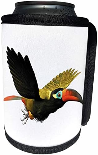 3Droza Boehm Graphics Bird - Guinan Toucanet mužjak Bird - Can Cool Walt Walt