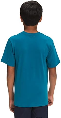 Grafička majica za dječake NORTH FACE, Banff plava / višebojna štampa, XX-mala