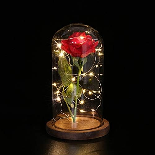 TOYANDONA LED stolno svjetlo ruža Led svjetlo, cvijet Led svjetlo sa USB Led bakrenom žicom, stolna lampa za Dan zaljubljenih, braon,