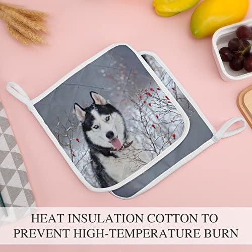 Sibirski husky pas u zimskim držačima lonca 8x8 vrući jastučići za toplinu Pomilice za zaštitu radne površine za kuhanje kuhinje dvodijelni set