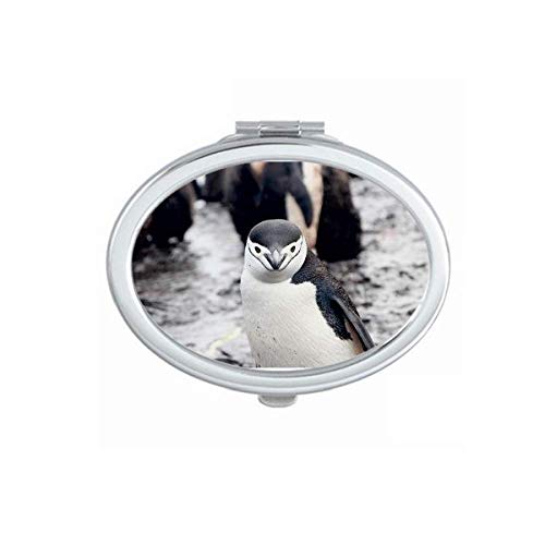 Zemaljski Organizam Životinjski Pingvin Ogledalo Prijenosni Preklopni Ručni Makeup Dvostruke Strane Naočare
