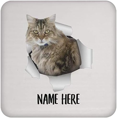 Smiješni personalizirani Ragamuffin Cat Tabby Color Custom Name Whinis Christmas 2023 Pokloni Coaster