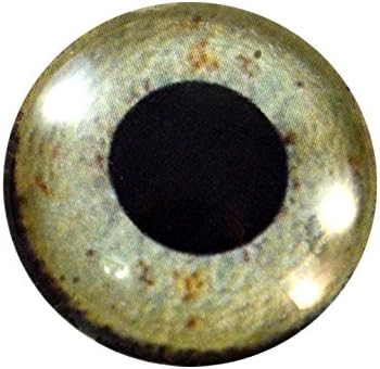 25 mm jedno pješčana staklena oka za taksidermjerne skulpture ili nakit izrade zanata