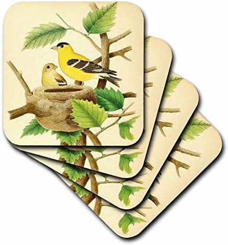 3Droza Vintage Bird Art Print American Goldfinch Prekrasne žute ptice. - Podmetači