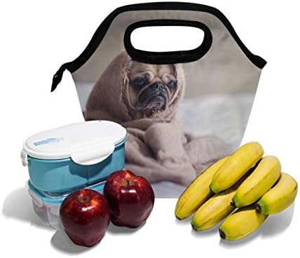 HEOEH Mops pas u jorgan torbi za ručak Cooler Tote Bag izolovana kutija za ručak sa patentnim zatvaračem torba za školski ured na otvorenom