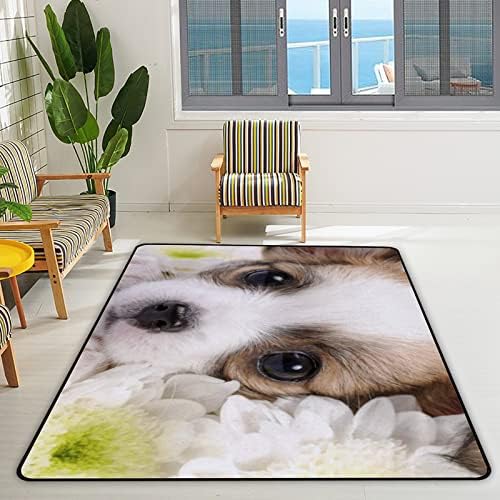 Puzeći u zatvorenom tepihu Play mat divan Chihuahua štene za dnevnu sobu spavaća soba obrazovna vrtića podne prostirke 63x48inch