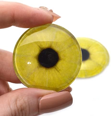 Limunske staklene oči - plave i smeđe veličine Kabohoni za privjesak za čišćenje žica zamotane nakit umjetno zanatsko taksidermjerno