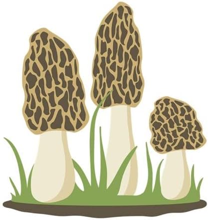 CafePress Ja sam Fungi Fun Guy gljive šolje keramička šolja za kafu, šolja za čaj 11 oz