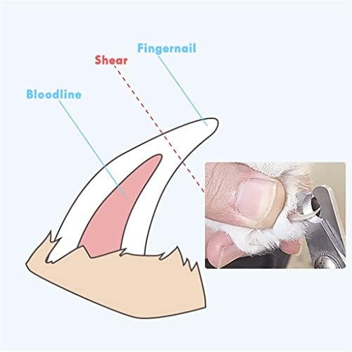N / A Profesionalne Makaze Za Nokte Za Kućne Ljubimce Pas Mačke Od Nerđajućeg Čelika Koje Štede Rad, Praktične Potrepštine Za Čišćenje