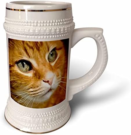 3Droza Predivan Ginger Tabby Cat Poser Artistic PET Portret - 22oz Stein krigla