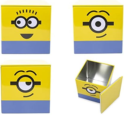 Raspicable me minioni 4-inčni kockice za pohranu kutije za pohranu kockica sa poklopcem | Kontejner za košarke, Cubby Closet Closet