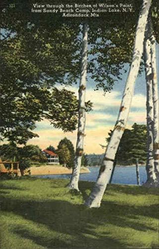 Wilsonova tačka iz kampa Sandy Beach Indian Lake, New York NY originalna antička razglednica