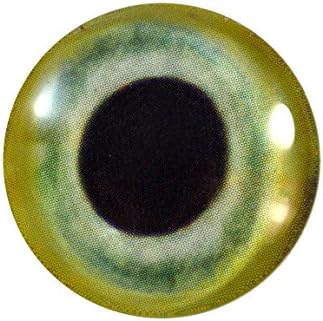25 mm jedno zeleno žute papagajsko stakleno oko za taksidermjerne skulpture ili nakit izrade zanata