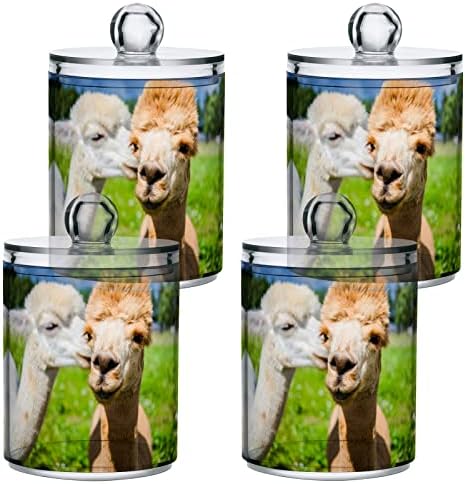 Yyzzh Alpaca Llama Par poljubac u Green Woodland 4 pakovanje QTIP nosač za pamuk swab loptica okrugla jastučići FLOSS 10 oz Apoteka